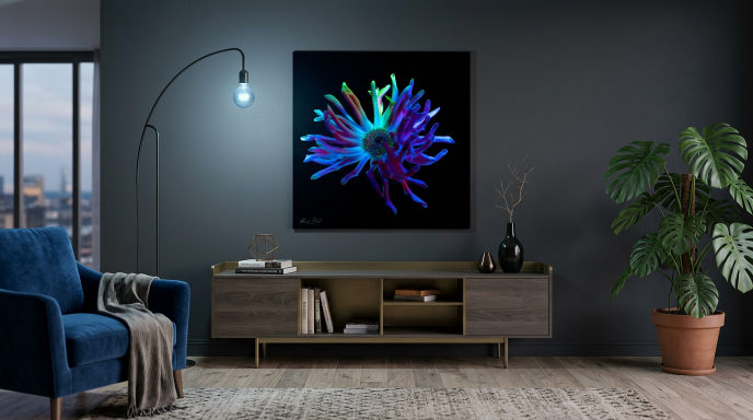 Kleurige abstracte kunst op een muur in een moderne woonkamer met een plant en meubels.